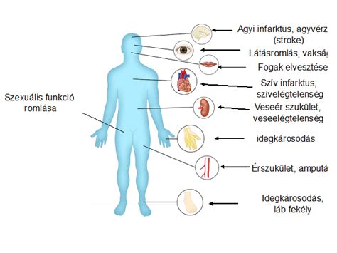 Endokrinológia